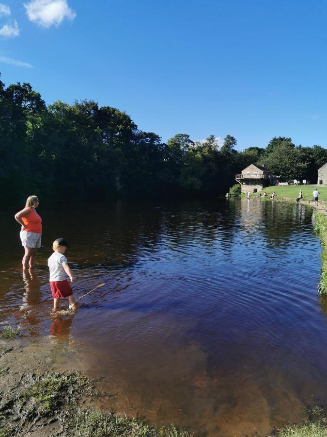 Rustling Pines At Knaresborough Lido Campsite *