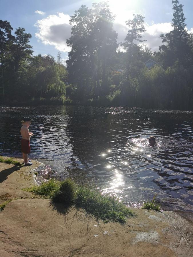 Rustling Pines At Knaresborough Lido