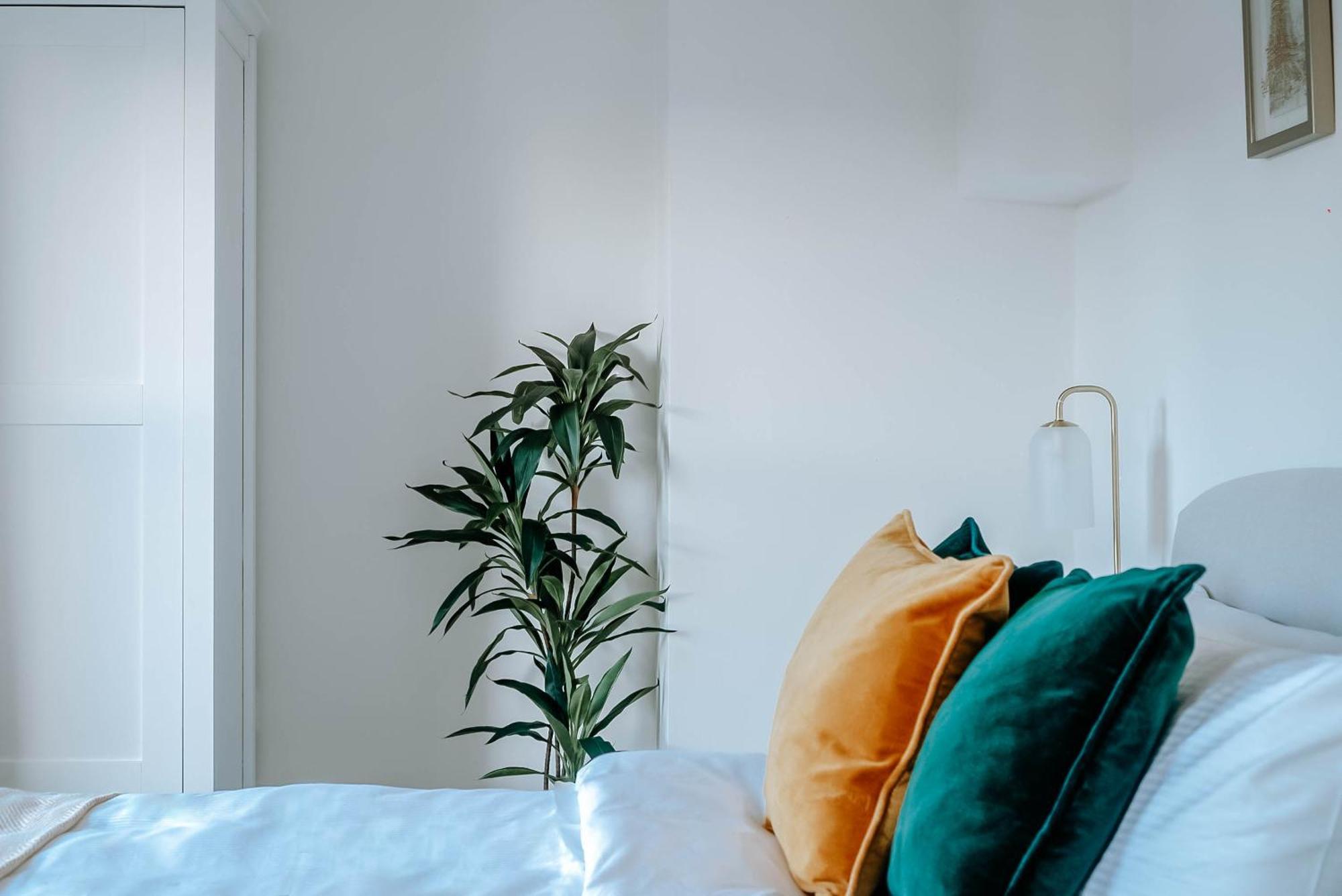Mayfield Three - Apartment Harrogate