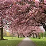 Garden Apartment, Central Harrogate With Parking