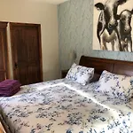 Farm View Hall Bed And Breakfast