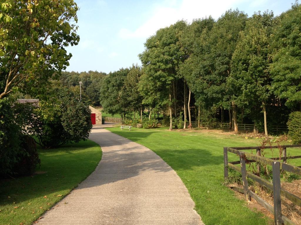 North Dockenbush Harrogate