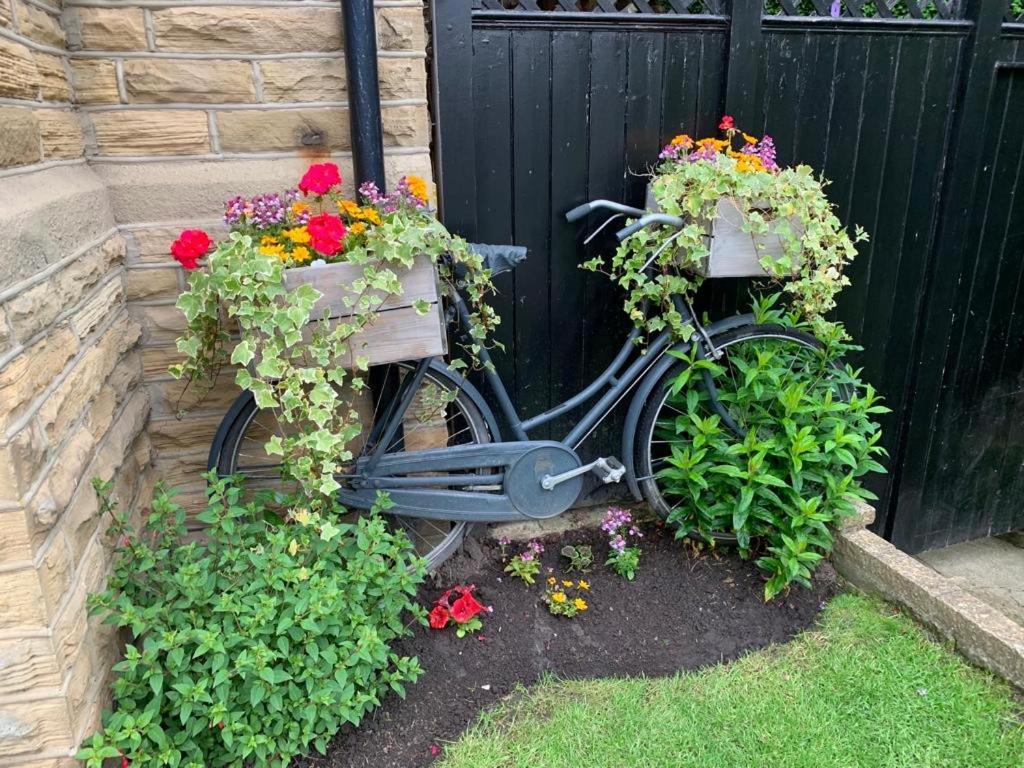 Shelbourne House Bed & Breakfast