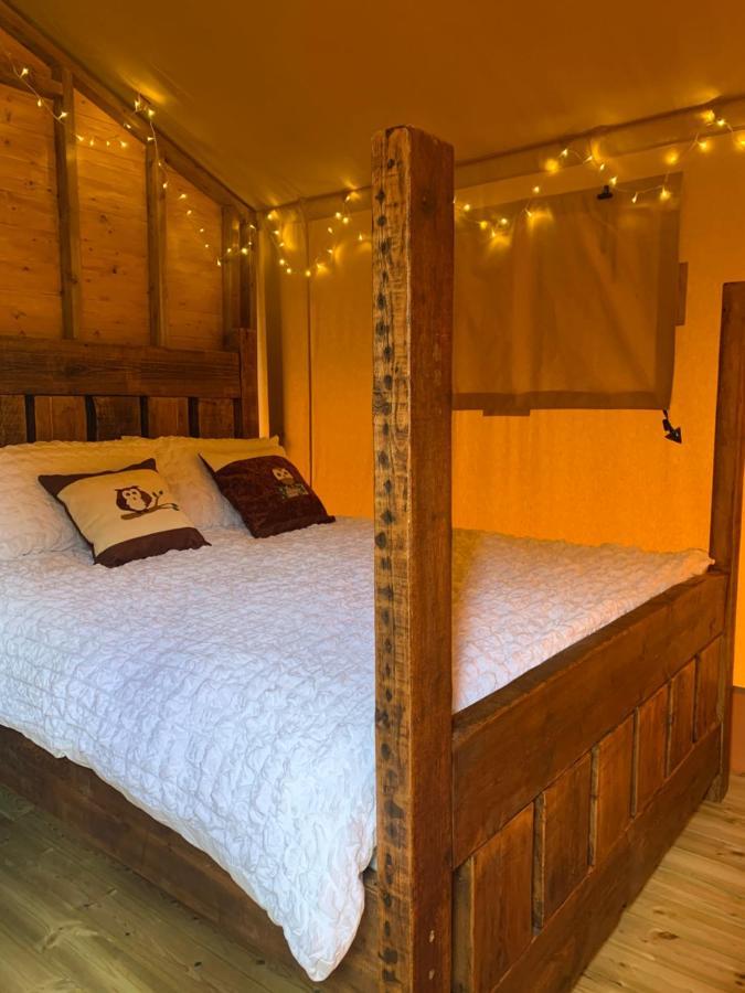 Luxury tent Little North Field Harrogate