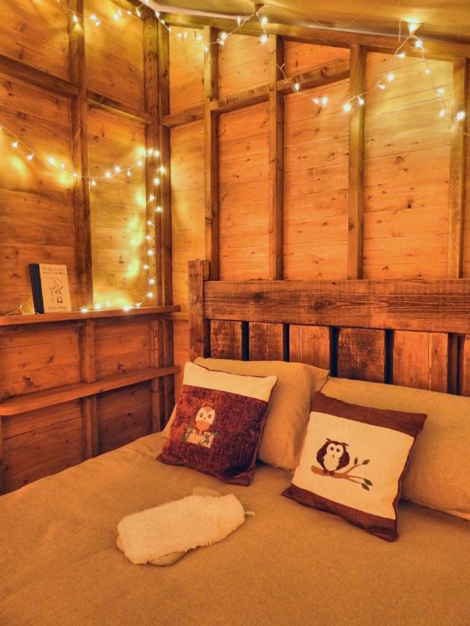 Little North Field Luxury tent *