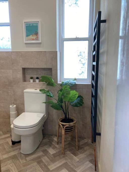 Garden Apartment, With Parking Apartment Harrogate
