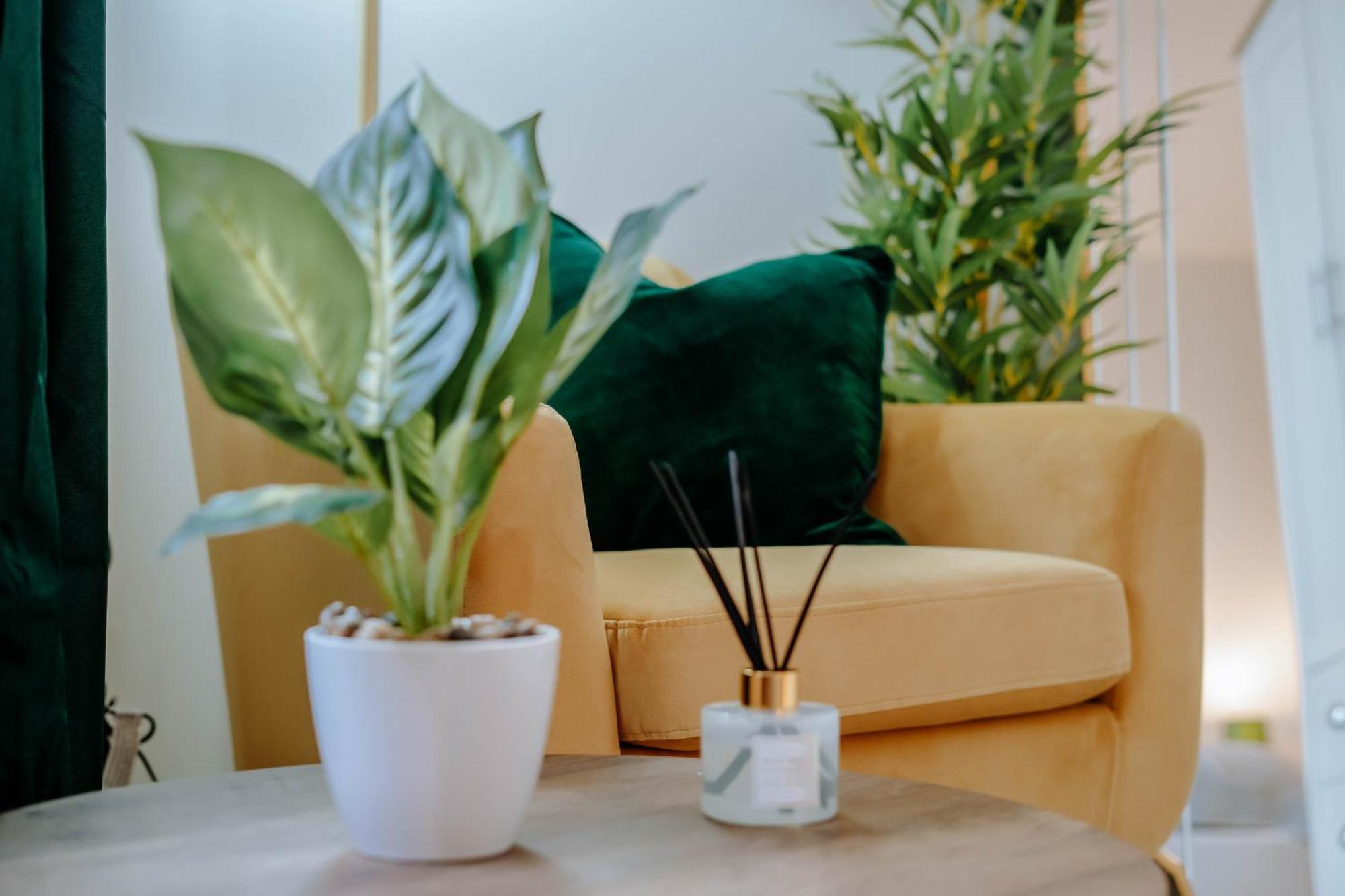 Apartment Mayfield Two - *