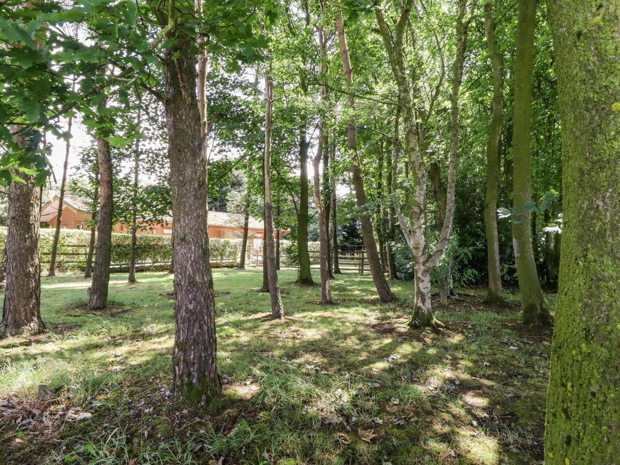 Washburn Holiday home