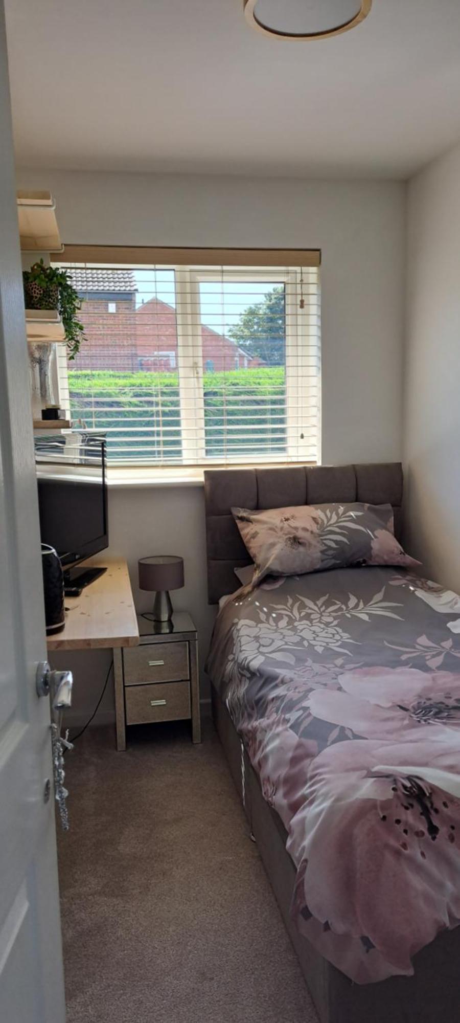 Cosy Single Homestay *