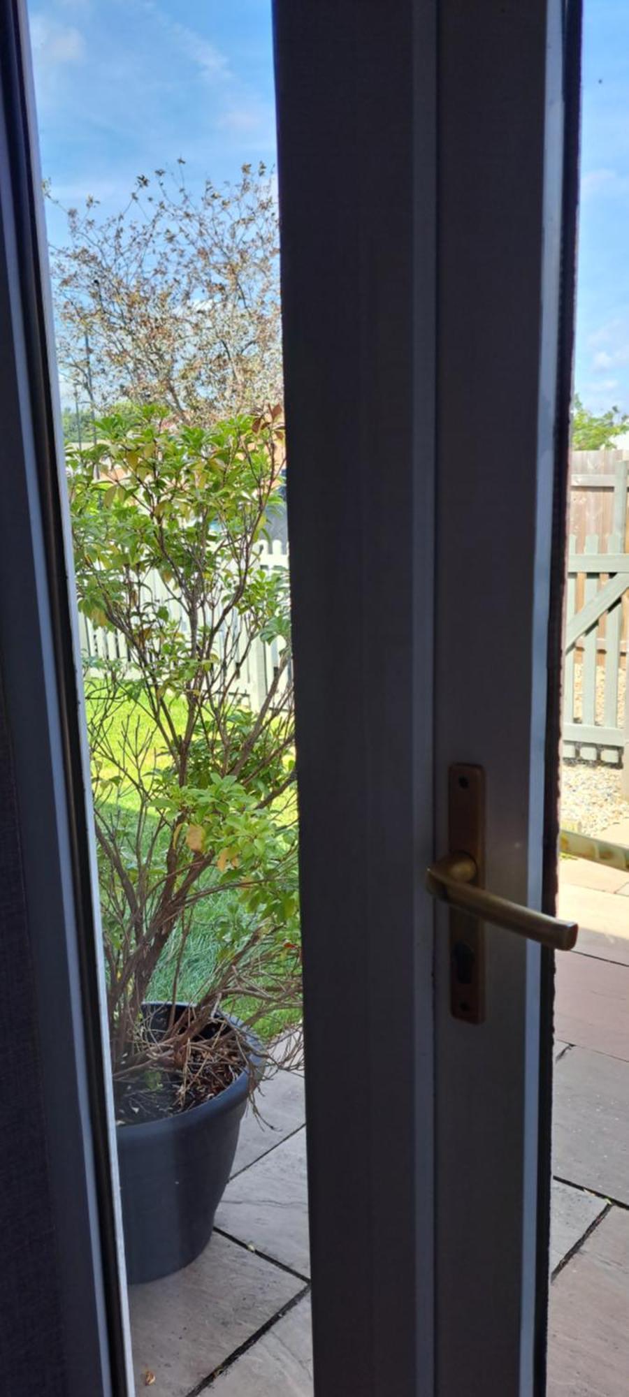 Cosy Single Harrogate