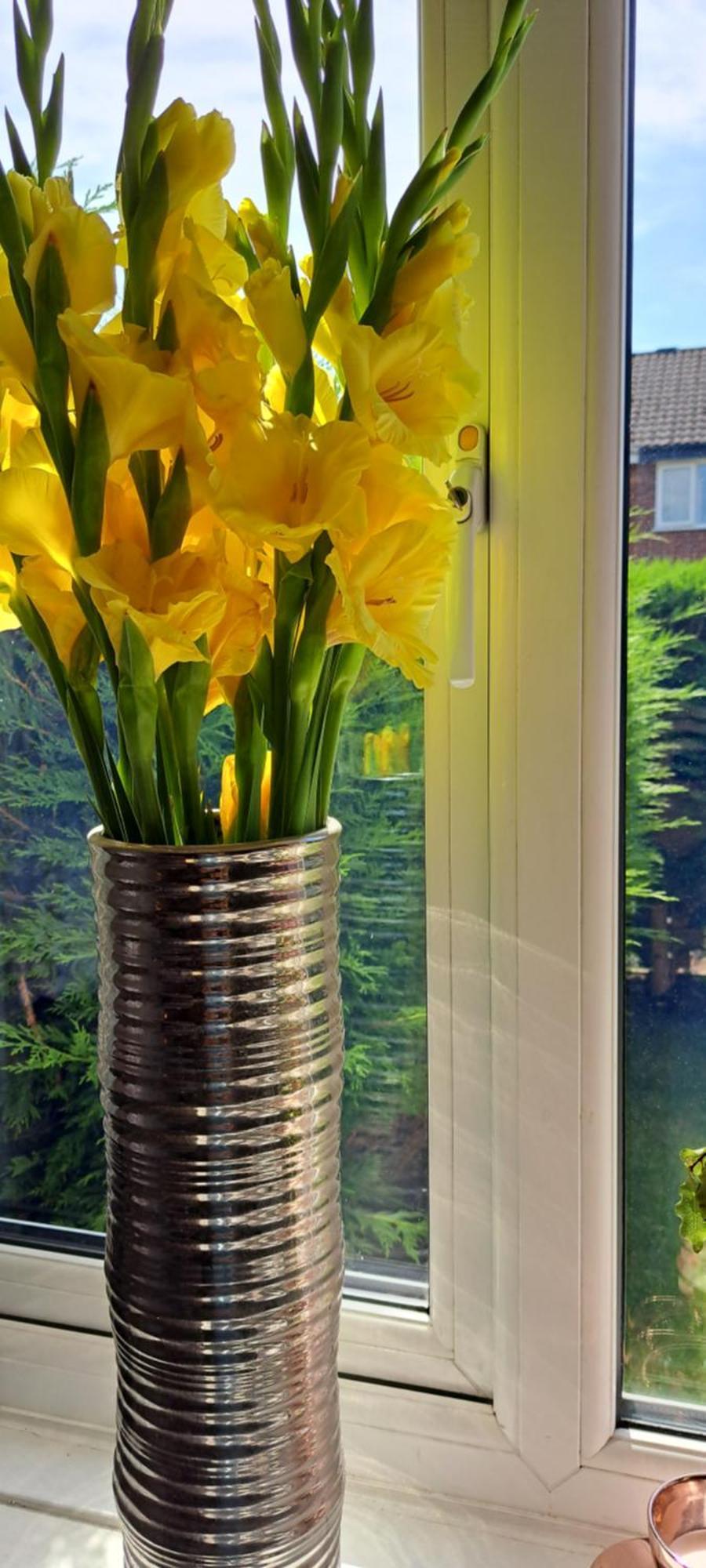 Homestay Cosy Single Harrogate