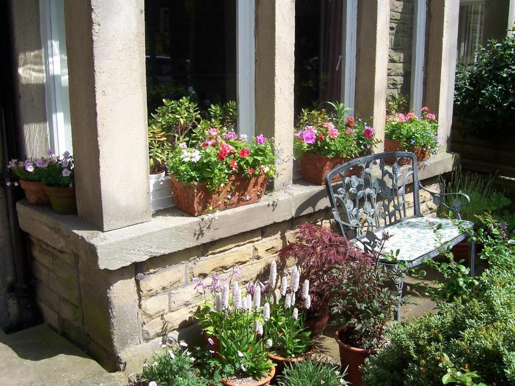 Guest house Spring 3*