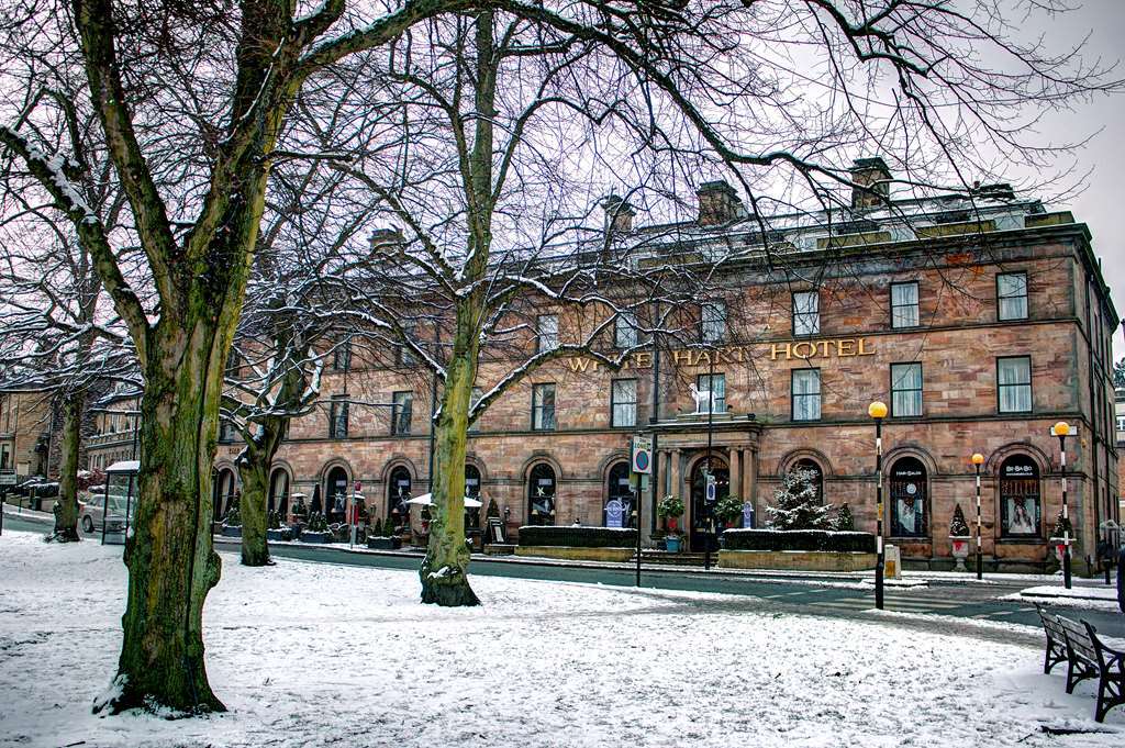Hotel White Hart & 4*