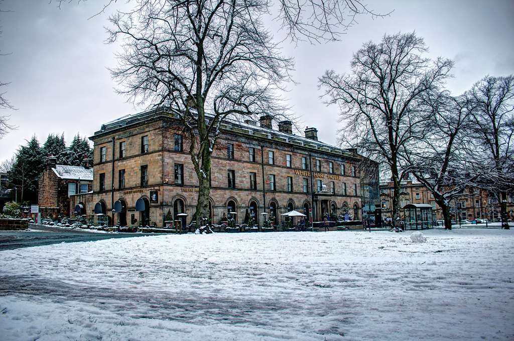 Hotel White Hart & 4*