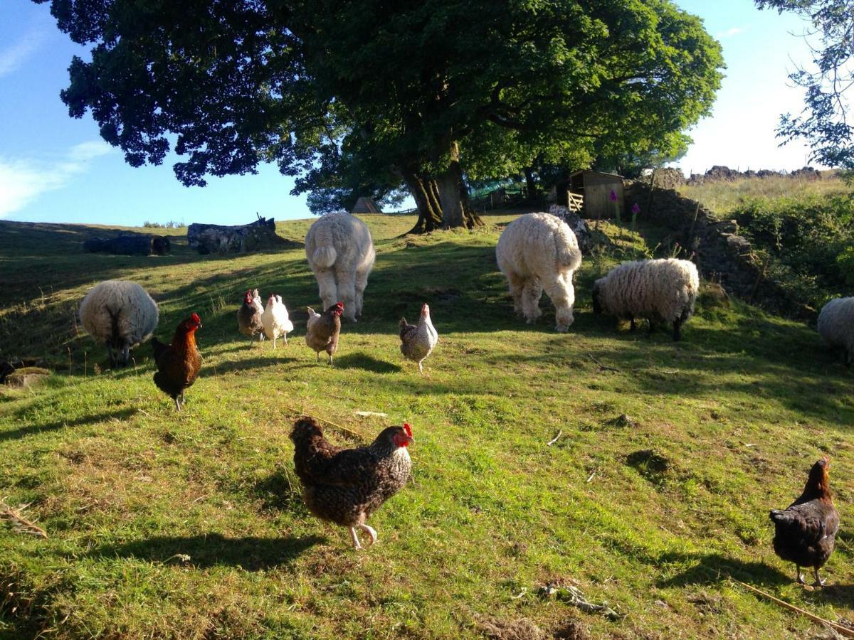 Moorhouse Bed & Breakfast