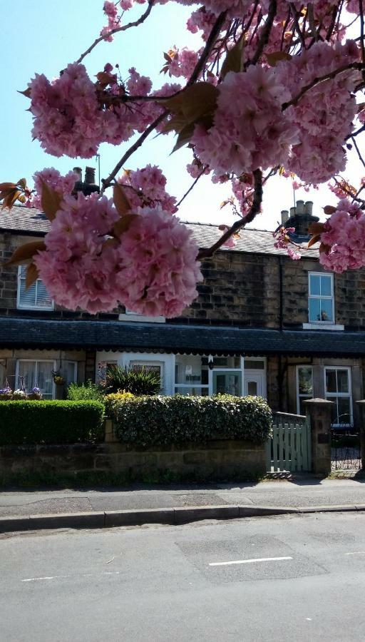 100 Harrogate