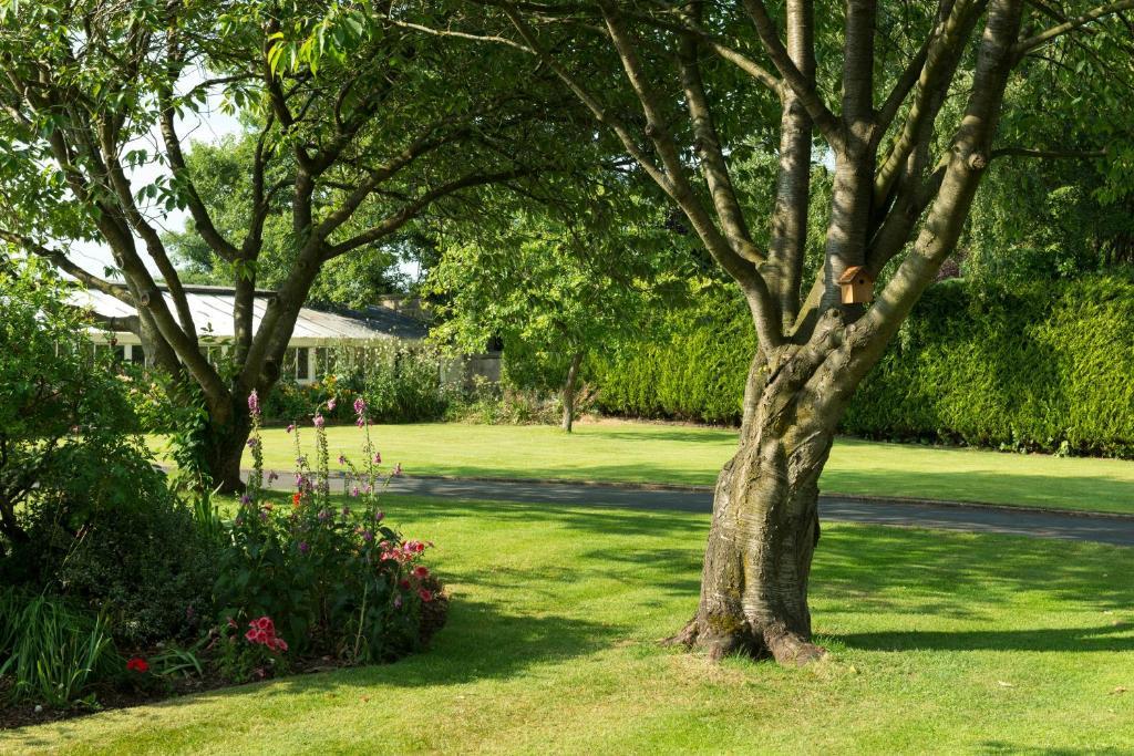 Hazel Manor * Harrogate